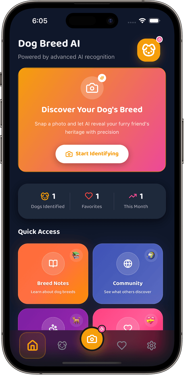 Dog Breed AI Screenshot 1