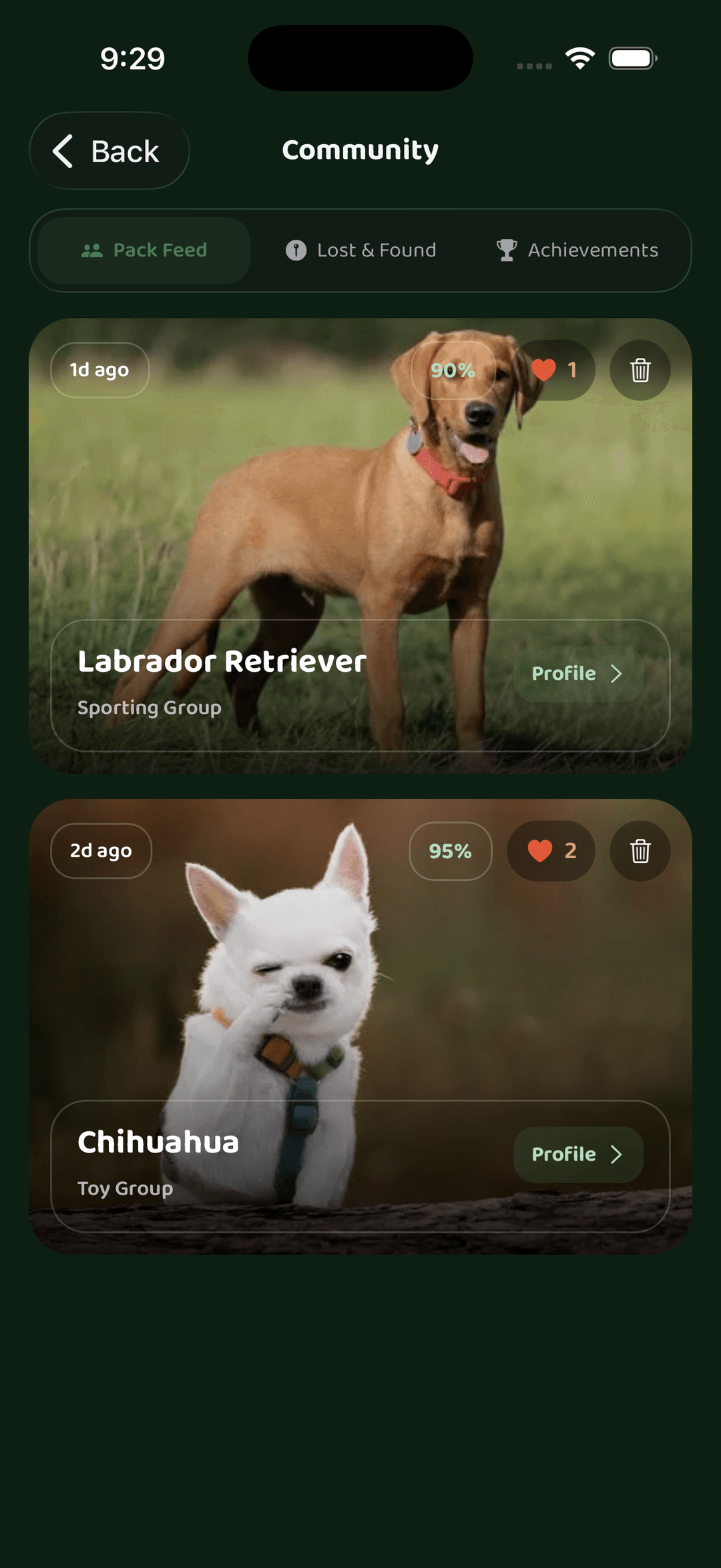 PawNature care tools